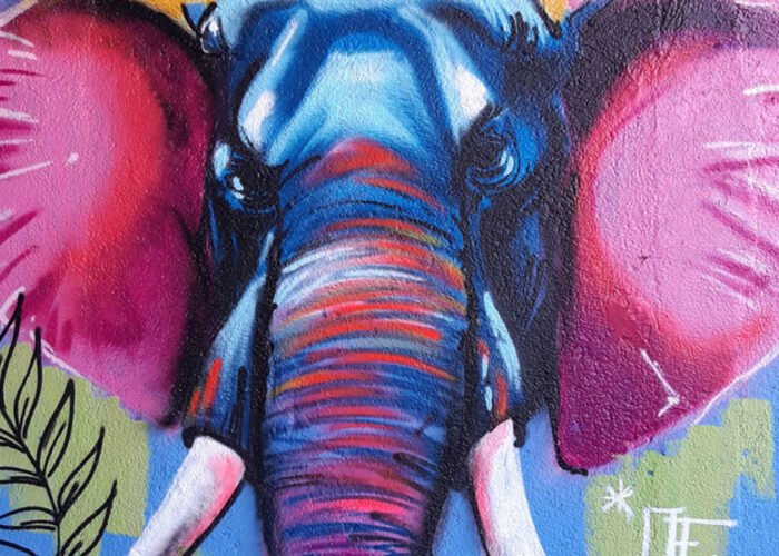 Atelier Graff
